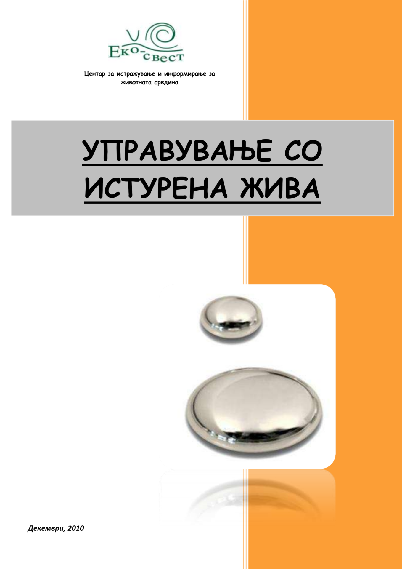 Управување со истурена жива (2010)
