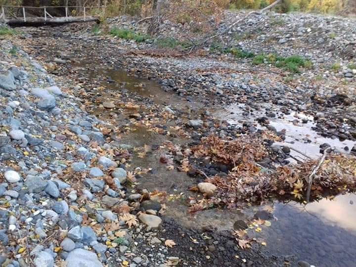 Возможна ли е пост ковид обнова без вода и храна?