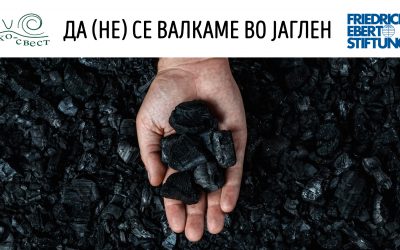 Чоловиќ – Лешоска: Локалните власти заедно со граѓаните треба здружено да го намалат аерозагадувањето