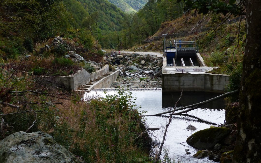 10 факти зошто малите хидроцентрали НЕ се еколошки