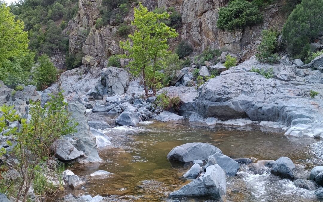 Започна студијата за валоризација на природните вредности на Демир Капија