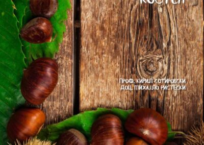 Многубројните вредности на Питомиот Костен – Едукативна брошура (2024)
