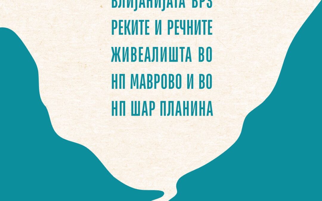 Резиме на анализата на влијание врз реките 2025