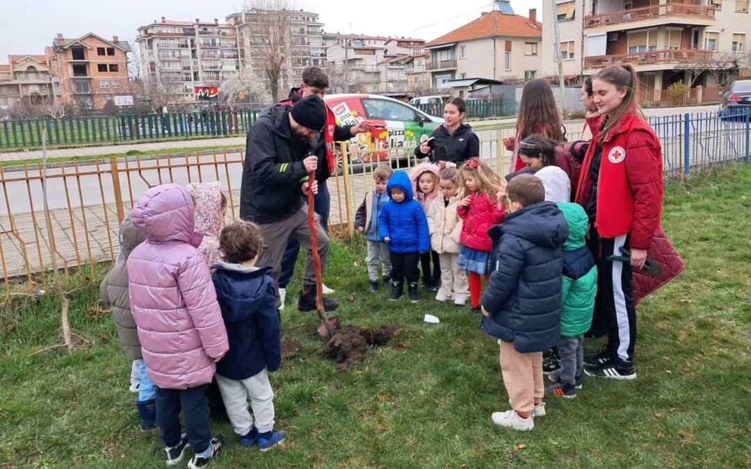 Одбележан Меѓународниот ден на шумите